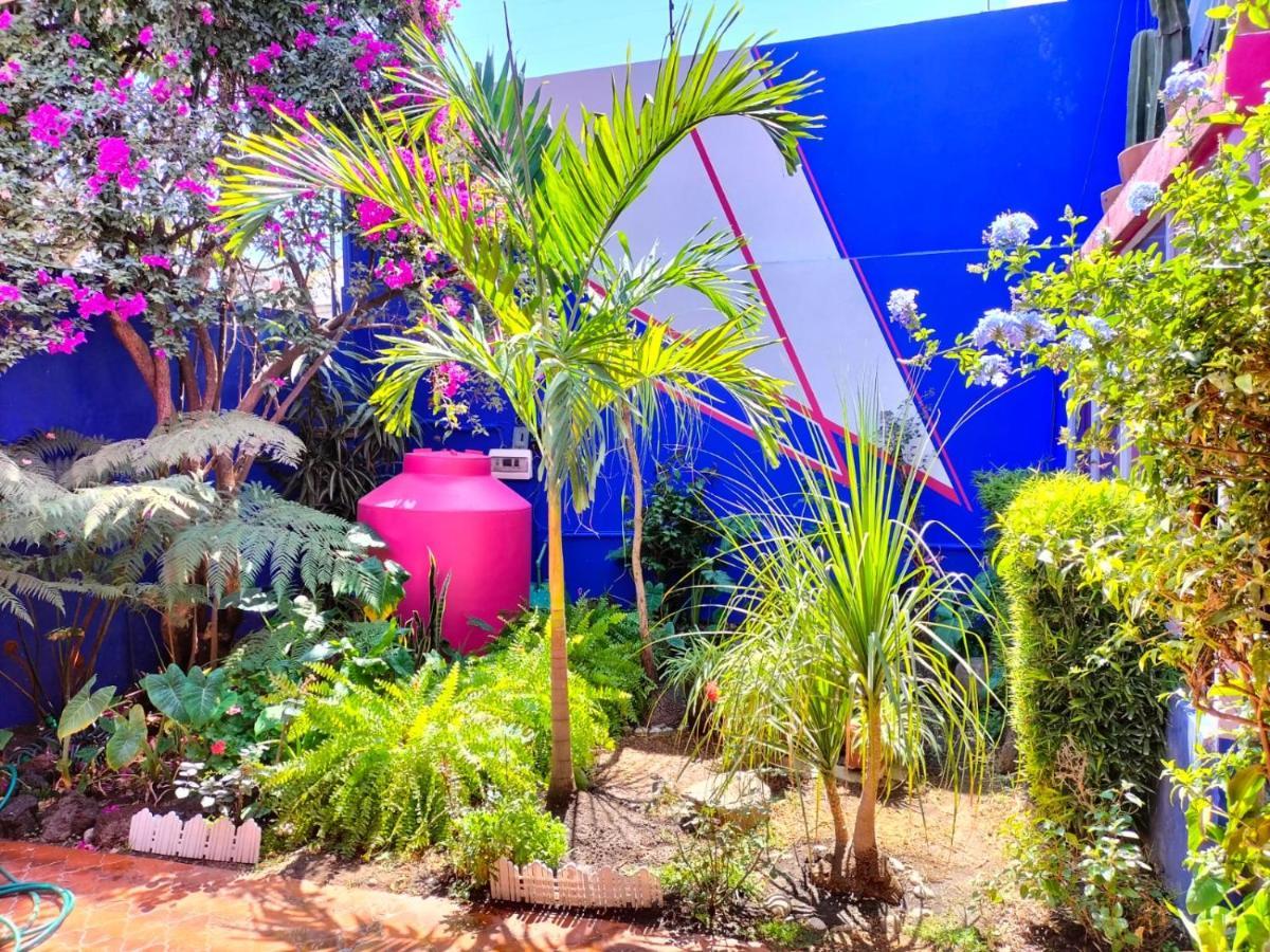 Отель Casa Maguey Мехико Экстерьер фото