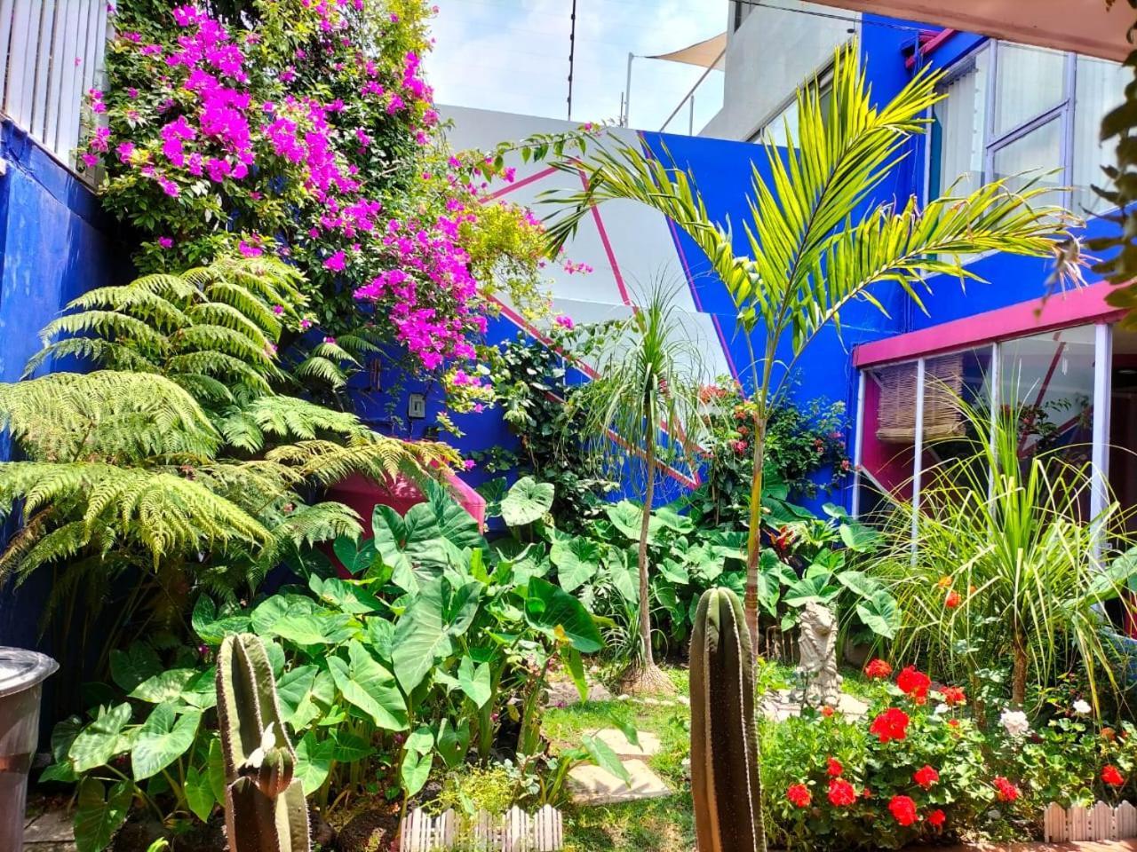 Отель Casa Maguey Мехико Экстерьер фото