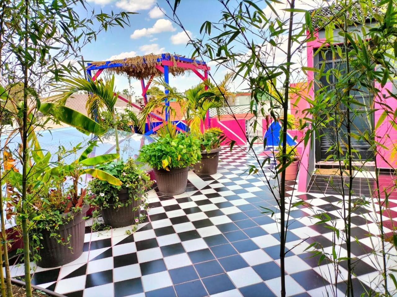 Отель Casa Maguey Мехико Экстерьер фото