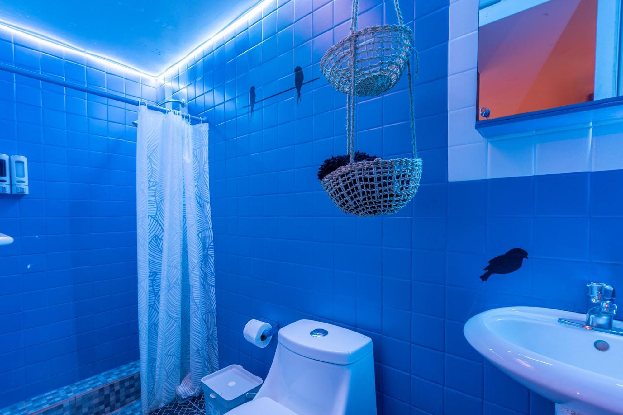 Отель Casa Maguey Мехико Экстерьер фото