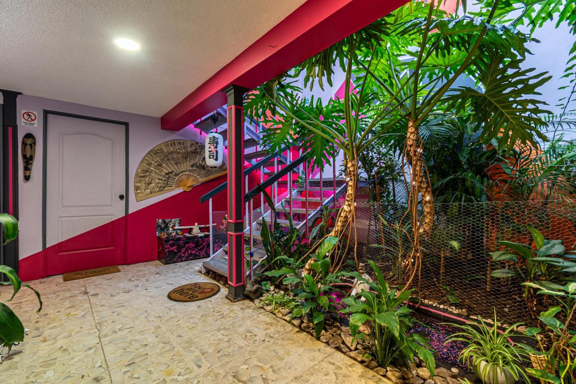 Отель Casa Maguey Мехико Экстерьер фото